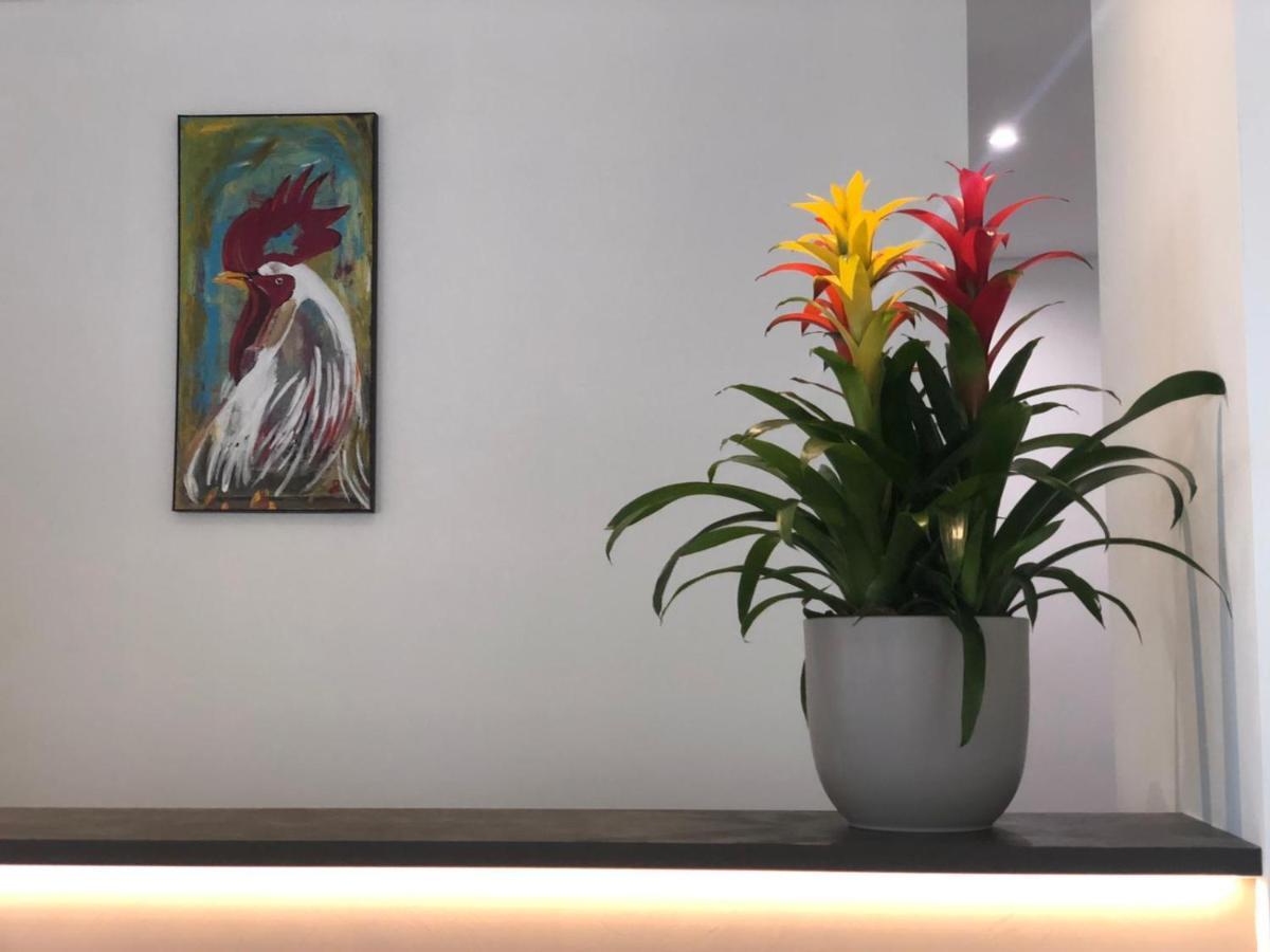 רימיני Hotel Palazzo Caveja מראה חיצוני תמונה